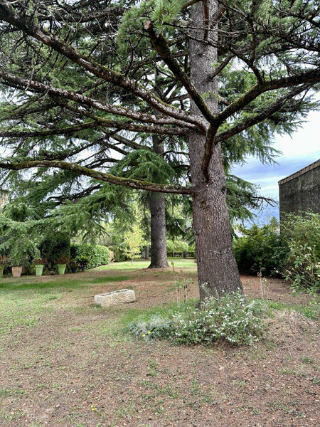French property for sale in Blasimon, Gironde - €299,500 - photo 7
