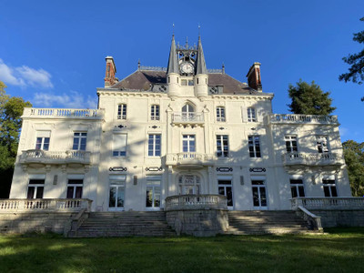 Chateau à vendre à Varennes-Vauzelles, Nièvre, Bourgogne, avec Leggett Immobilier