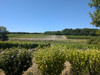 French property for sale in Saint-Germain-de-Vibrac, Charente-Maritime - €299,000 - thumbnail 9
