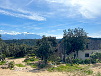 French property for sale in Montalba-le-Château, Pyrénées-Orientales - €330,000 - photo 8