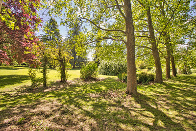 French property for sale in Berthegon, Vienne - €335,000 - photo 4