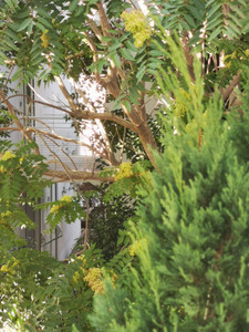 French property for sale in Avignon, Vaucluse - €64,500 - photo 5