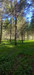 French property for sale in Saint-Martin-de-Fressengeas, Dordogne - €235,400 - thumbnail 9