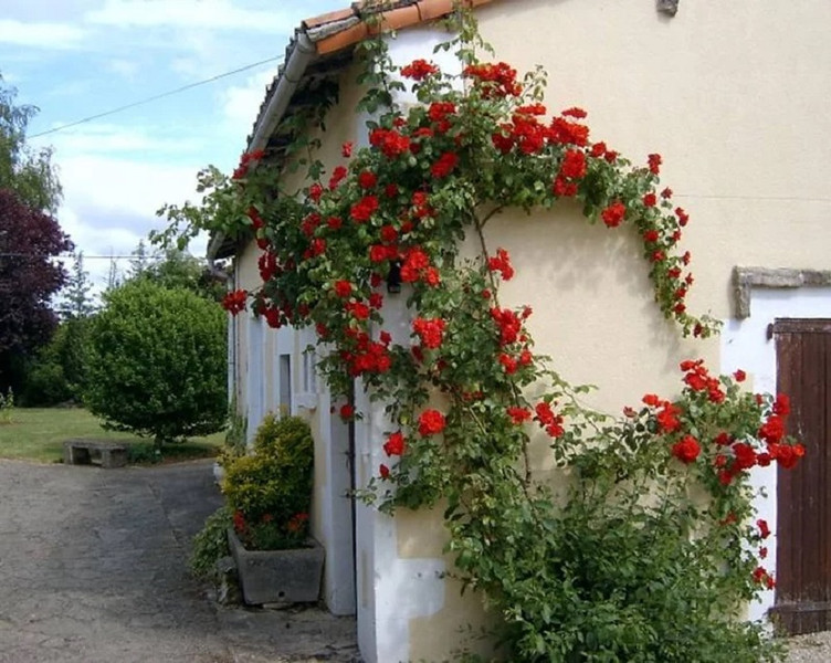 French property for sale in Sauzé-Vaussais, Deux-Sèvres - €327,540 - photo 8