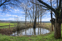 Propriété à vendre à Razac-de-Saussignac, Dordogne - 435 500 € - photo n°7