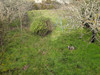 French property for sale in Lussac-les-Églises, Haute-Vienne - €67,150 - thumbnail 9