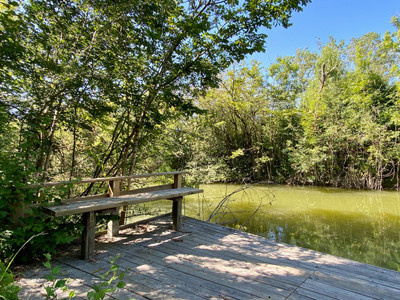 French property for sale in Andilly, Charente-Maritime - €670,000 - photo 9