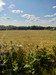 French property for sale in Loyat, Morbihan - €78,820 - thumbnail 7
