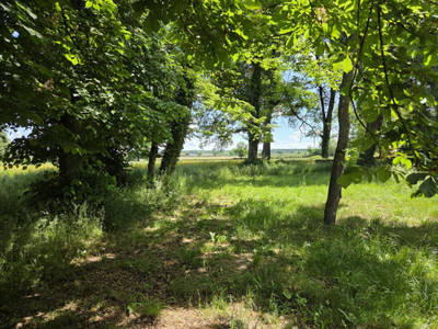 French property for sale in Gennetines, Allier - €577,500 - photo 9