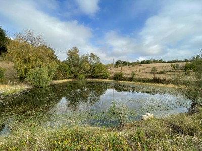 French property for sale in Pavie, Gers - €423,000 - photo 2