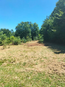 Terrain à vendre à Savignac-les-Églises, Dordogne, Aquitaine, avec Leggett Immobilier