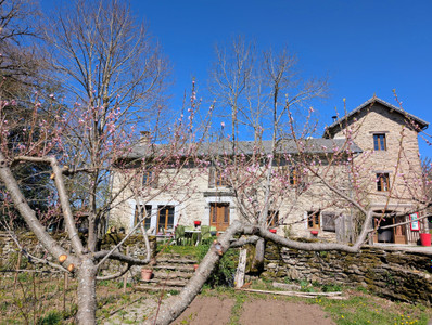 commercial for sale in Hérault