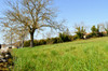 French property for sale in Aunac-sur-Charente, Charente - €55,000 - thumbnail 6