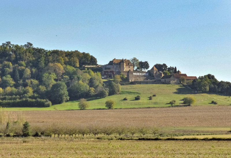 French property for sale in Beynac-et-Cazenac, Dordogne - €31,600 - photo 2
