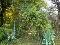 Maison à Vallière, Creuse - photo 6