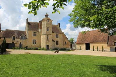 Perche National Park, Nogent le Rotrou. 15th century manorial estate and its outbuildings in 3 hectares ....