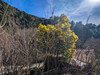 French property for sale in Lastours, Aude - €37,000 - thumbnail 9