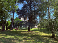 Propriété à vendre à Bouresse, Vienne - 210 000 € - photo n°10