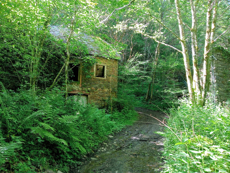French property for sale in Espagnac, Corrèze - €48,750 - photo 2