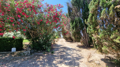 French property for sale in Argeliers, Aude - €290,000 - photo 1