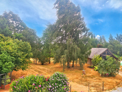 French property for sale in Gorron, Mayenne - €189,500 - photo 10