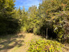 French property for sale in Lussac-les-Églises, Haute-Vienne - €43,600 - thumbnail 14