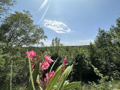 French property for sale in Magalas, Hérault - €590,000 - photo 6