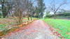 French property for sale in Barenton, Manche - €150,000 - thumbnail 10