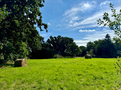 French property for sale in Saint-Aignan-de-Couptrain, Mayenne - €42,000 - photo 9