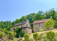 Propriété à vendre à Espeyrac, Aveyron - 315 000 € - photo n°1