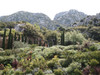 French property for sale in Saint-Rémy-de-Provence, Bouches-du-Rhône - €345,000 - thumbnail 9