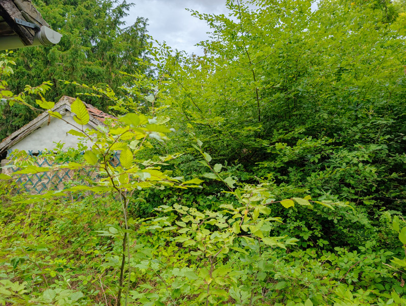 French property for sale in Lussac-les-Églises, Haute-Vienne - €44,900 - photo 8