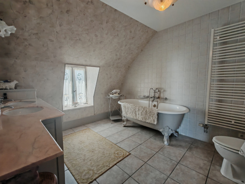 French property for sale in Theneuille, Allier - €1,100,000 - photo 5
