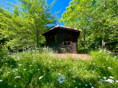 French property for sale in Montguyon, Charente-Maritime - €540,000 - photo 6