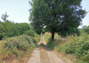 French property for sale in Argentat-sur-Dordogne, Corrèze - €574,000 - thumbnail 9