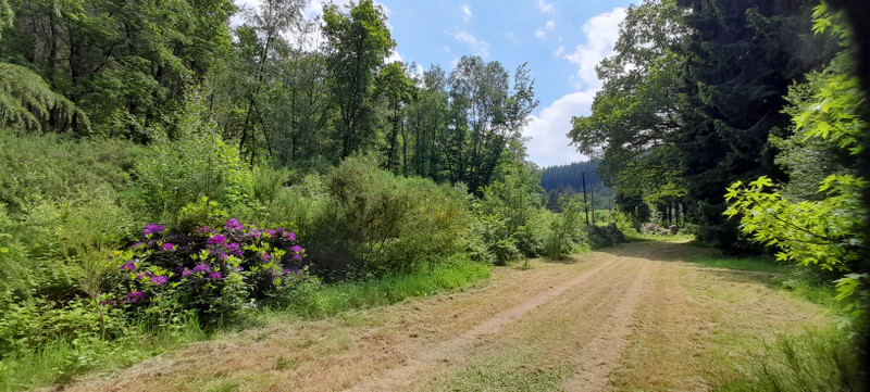 French property for sale in La Lande-de-Goult, Orne - €168,500 - photo 14