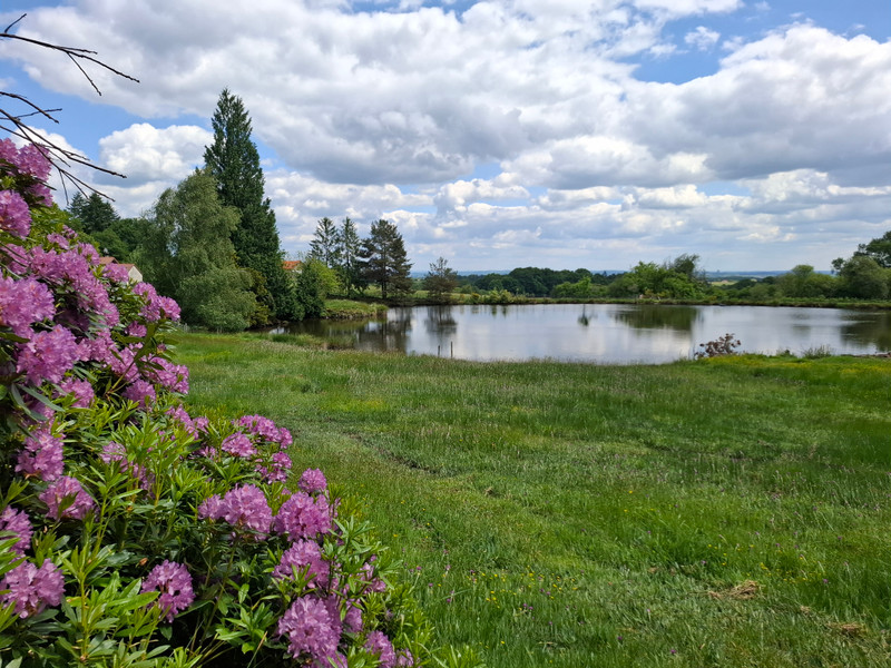 French property for sale in Chaptelat, Haute-Vienne - €424,000 - photo 7