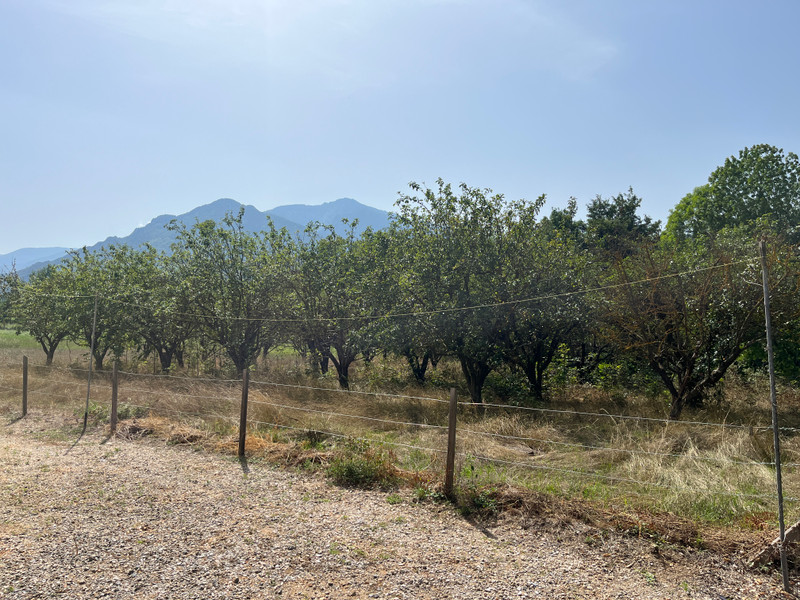 French property for sale in Fuilla, Pyrénées-Orientales - €325,000 - photo 14