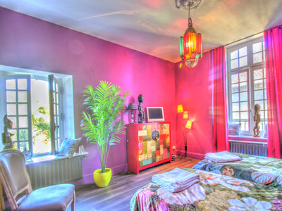 FABULOUS MAISON-DE-MAÎTRE + MAGICAL GARDEN + APARTMENT TO RENOVATE + IDEAL FAMILY HOME & GÎTE, UPMARKET B&B...