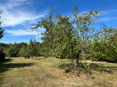 French property for sale in Saint-Saud-Lacoussière, Dordogne - €30,100 - photo 11