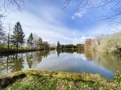 French property for sale in Saint-Auvent, Haute-Vienne - €240,750 - photo 9