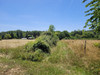French property for sale in Milhac-de-Nontron, Dordogne - €24,000 - thumbnail 9