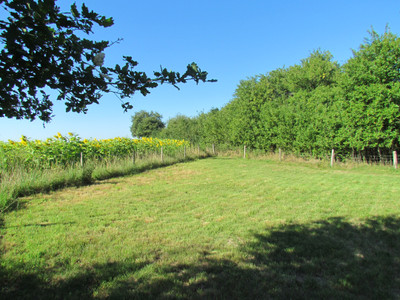 French property for sale in Mauprévoir, Vienne - €35,000 - photo 8