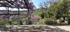 French property for sale in Saint-Cirq-Lapopie, Lot - €312,000 - thumbnail 9