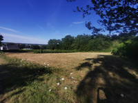 Propriété à vendre à Saint-Gravé, Morbihan - 50 000 € - photo n°3