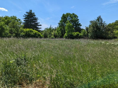 French property for sale in Le Châtelet, Cher - €240,000 - photo 8