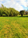 French property for sale in Ciron, Indre - €17,600 - thumbnail 14