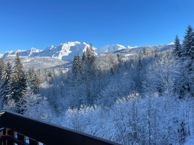 Ski property for sale in Combloux - €295,000 - photo 0