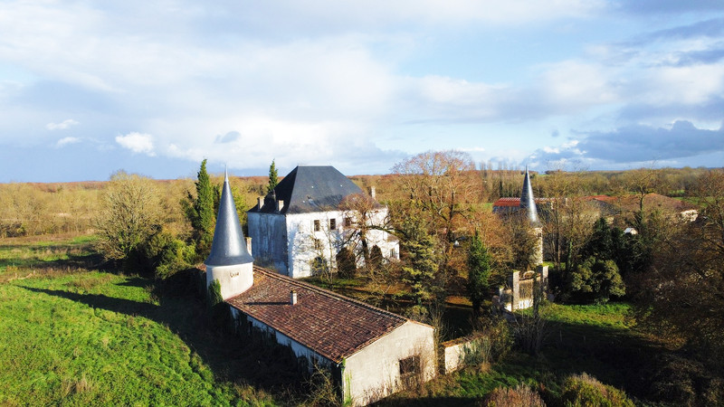 Chateau For Sale In Les Gours Charente Exceptional Property Near 