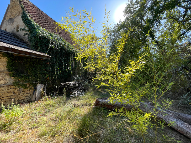 French property for sale in Saint-Léon-sur-Vézère, Dordogne - €135,000 - photo 6